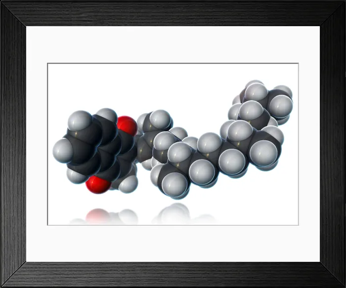 Framed Print : Vitamin K1, Molecular Model