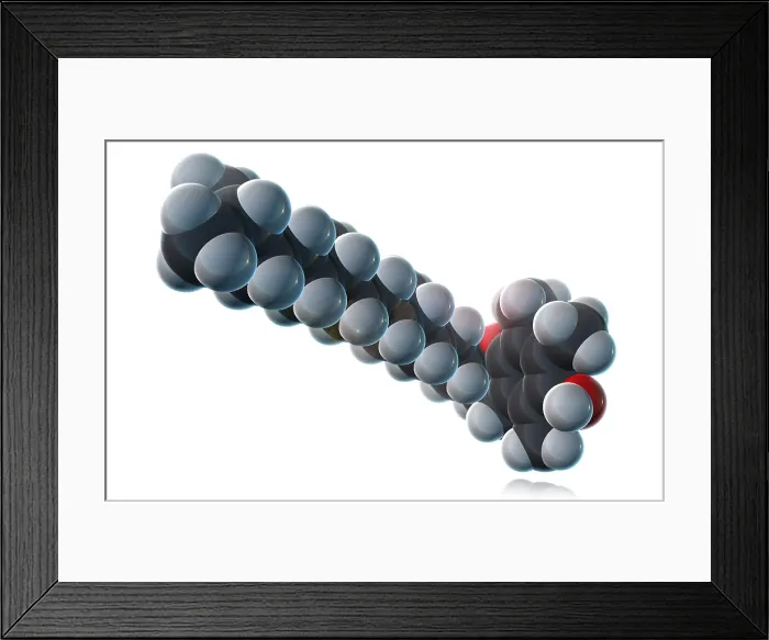 Framed Print : Vitamin E, Molecular Model