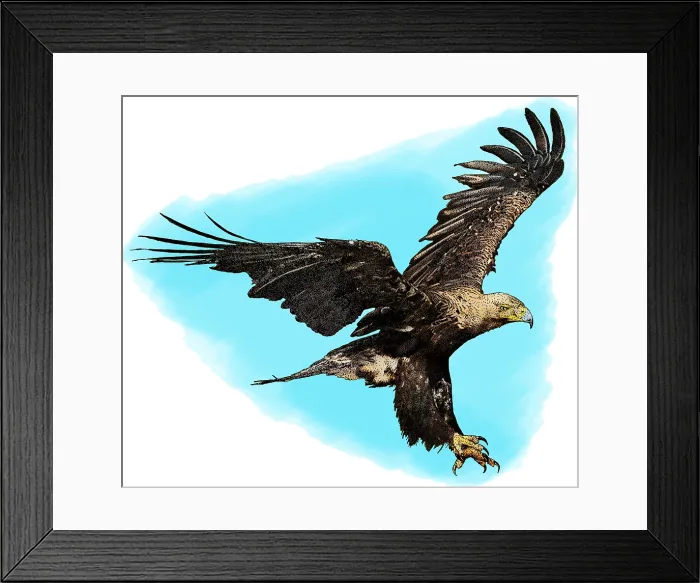 Framed Print : Eastern imperial eagle Framed Print : Eastern imperial eagle
