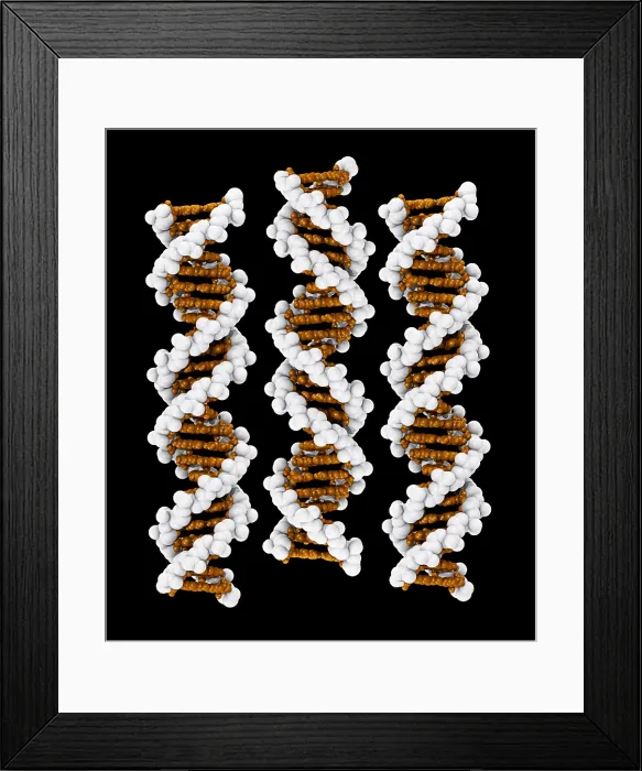 Framed Print : 3D DNA Molecule