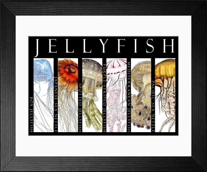 Framed Print : Jellyfish, Poster Framed Print : Jellyfish, Poster