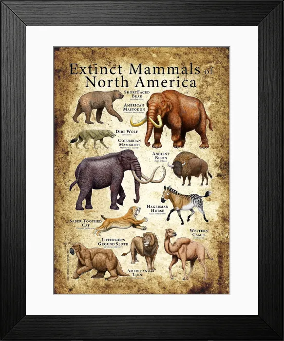 Framed Print : Extinct Animals of North America