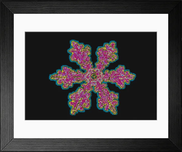 Framed Print : Snowflakes Framed Print : Snowflakes