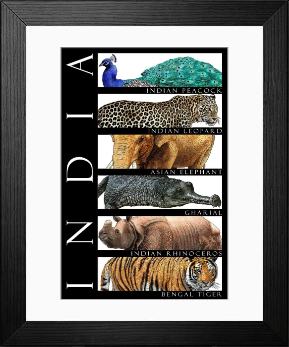 Framed Print : Wildlife of India Framed Print : Wildlife of India