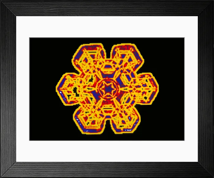 Framed Print : Snowflake Framed Print : Snowflake