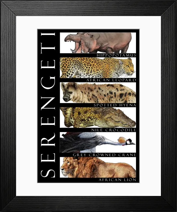 Framed Print : Animals of the Serengeti, Poster Framed Print : Animals of the Serengeti, Poster