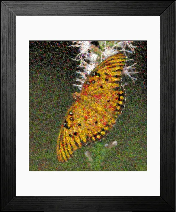Framed Print : Fritillary Butterfly Mosaic Framed Print : Fritillary Butterfly Mosaic