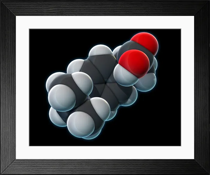Framed Print : Ibuprofen, Molecular Model Framed Print : Ibuprofen, Molecular Model