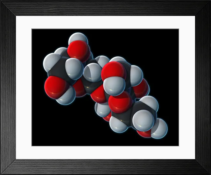 Framed Print : Sucrose, Molecular Model Framed Print : Sucrose, Molecular Model