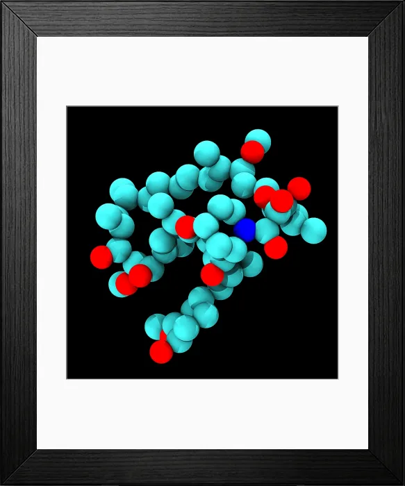 Framed Print : Sirolimus (Rapamycin), Molecular Model