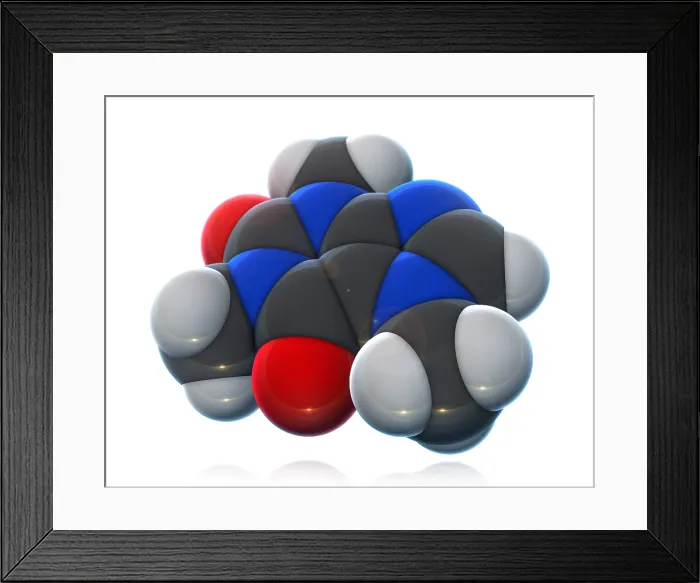 Framed Print : Caffeine Molecular Model Framed Print : Caffeine Molecular Model