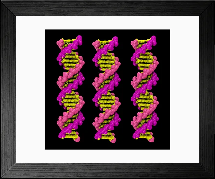 Framed Print : 3D DNA Molecule Framed Print : 3D DNA Molecule