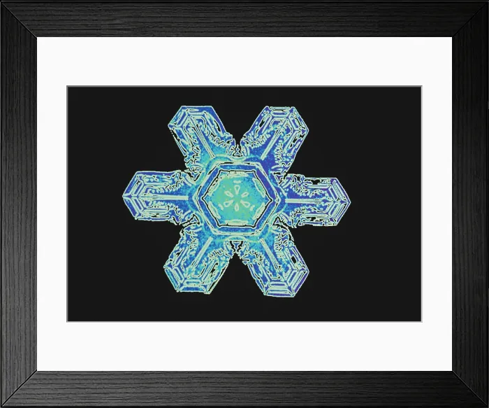Framed Print : Snowflakes Framed Print : Snowflakes
