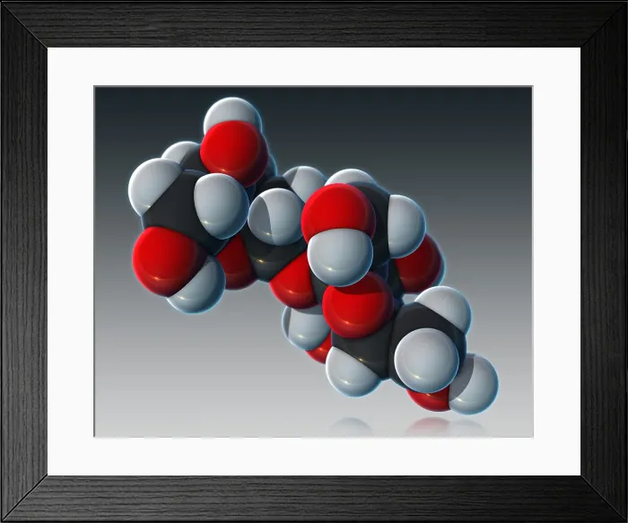 Framed Print : Sucrose, Molecular Model Framed Print : Sucrose, Molecular Model