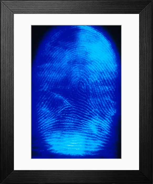 Framed Print : Human Fingerprint Framed Print : Human Fingerprint