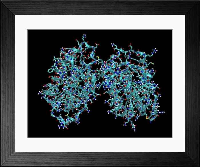 Framed Print : Human Interferon-Beta