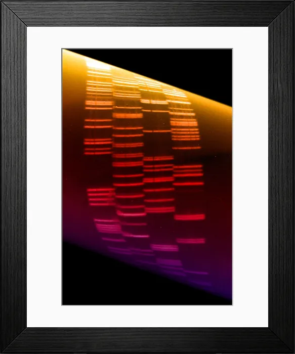 Framed Print : DNA sequence
