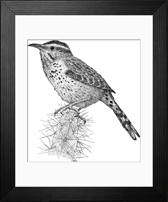 Framed Print : Cactus Wren Framed Print : Cactus Wren