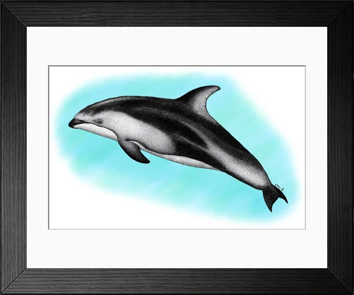 Framed Print : Pacific White-Sided Dolphin Framed Print : Pacific White-Sided Dolphin