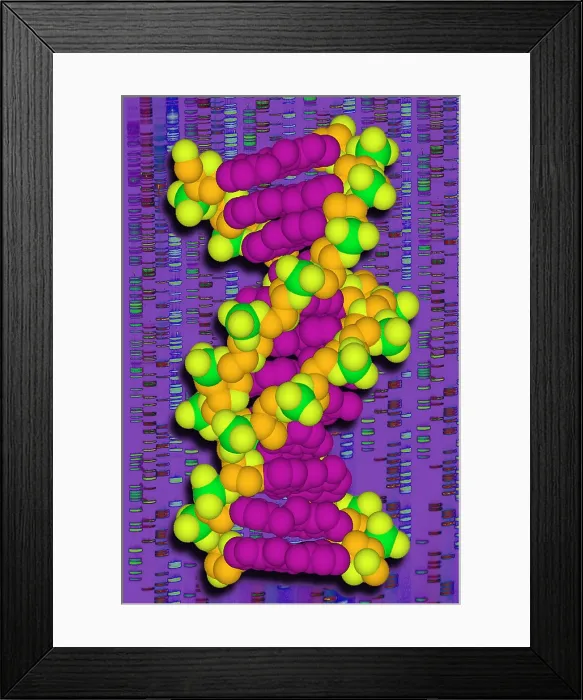 Framed Print : DNA with autoradiograph Framed Print : DNA with autoradiograph