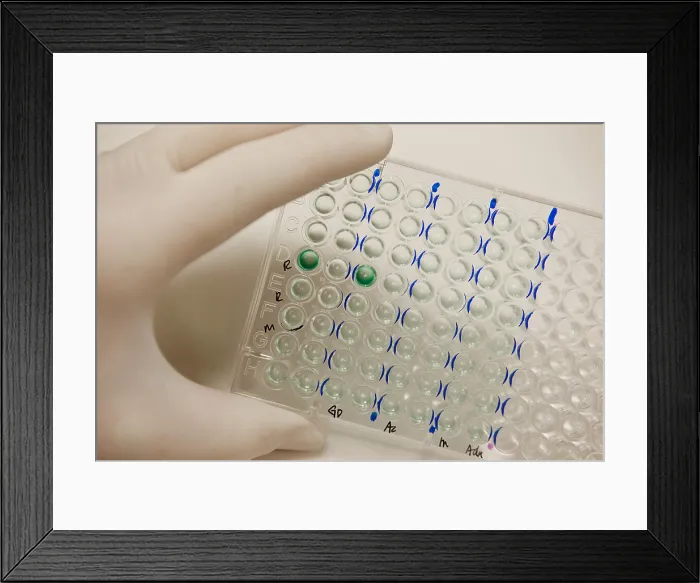 Framed Print : Microtiter Plate