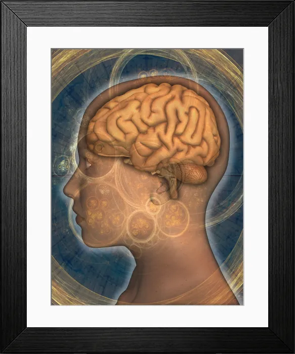 Framed Print : Brain and Woman's Head Framed Print : Brain and Woman's Head