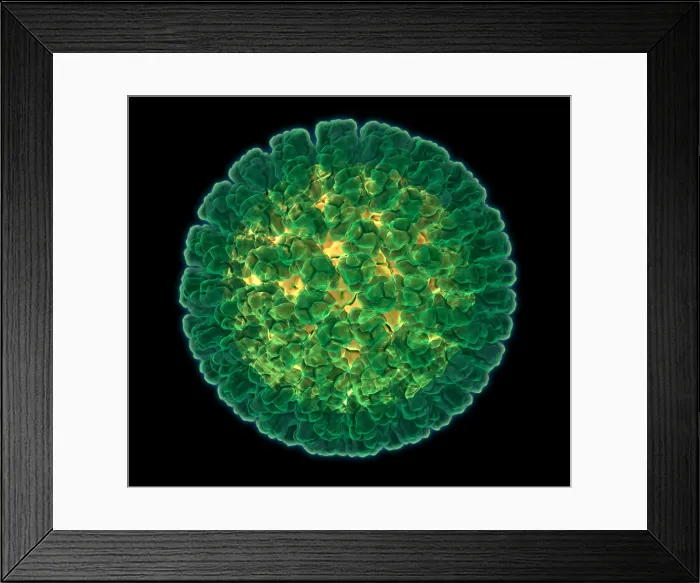Framed Print : Rotavirus, Molecular Model Framed Print : Rotavirus, Molecular Model
