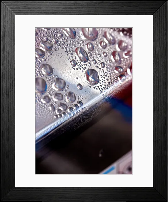 Framed Print : Moisture Droplets Framed Print : Moisture Droplets