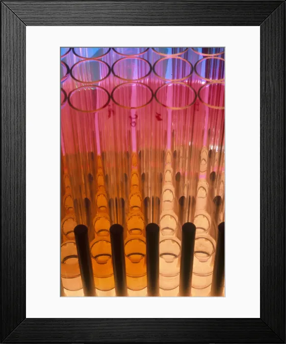 Framed Print : Test Tubes Framed Print : Test Tubes