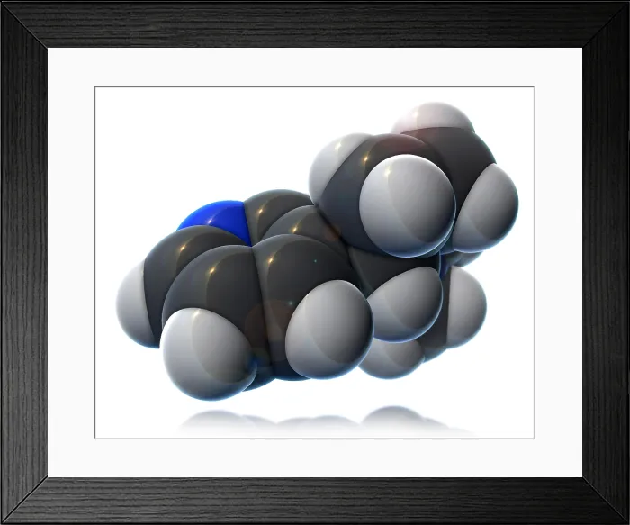 Framed Print : Nicotine Molecular Model