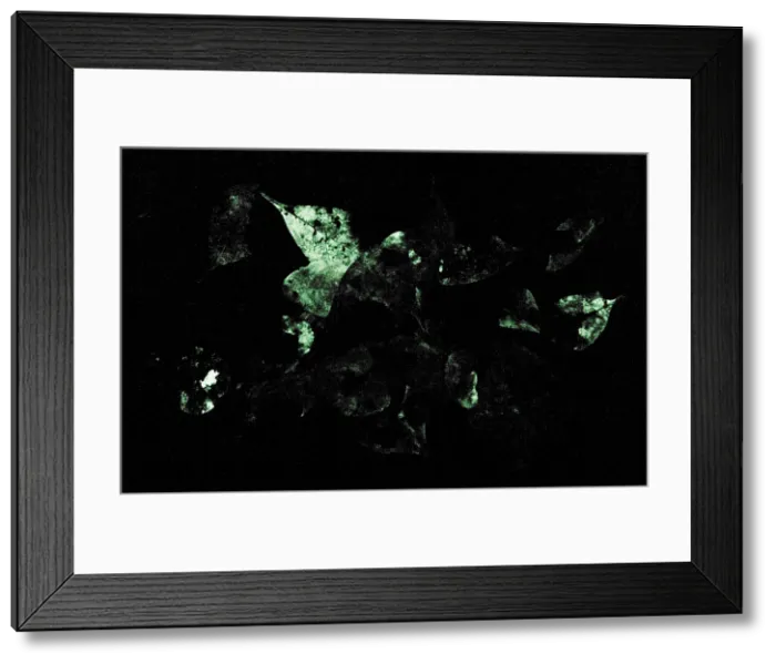 Framed Print : Bioluminescence Framed Print : Bioluminescence