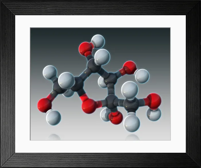 Framed Print : Fructose, Molecular Model Framed Print : Fructose, Molecular Model