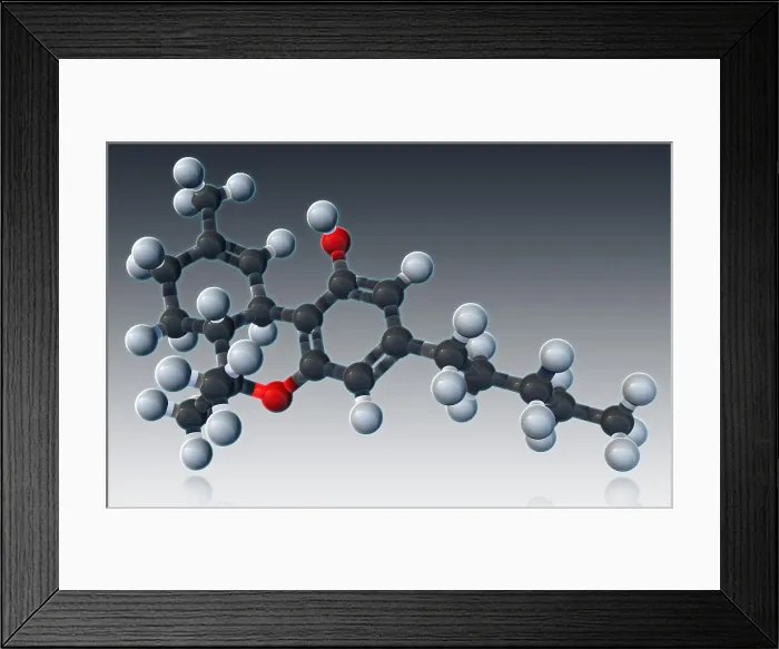 Framed Print : THC Molecular Model Framed Print : THC Molecular Model