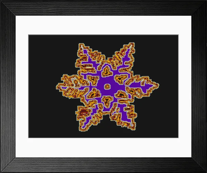 Framed Print : Snowflakes Framed Print : Snowflakes