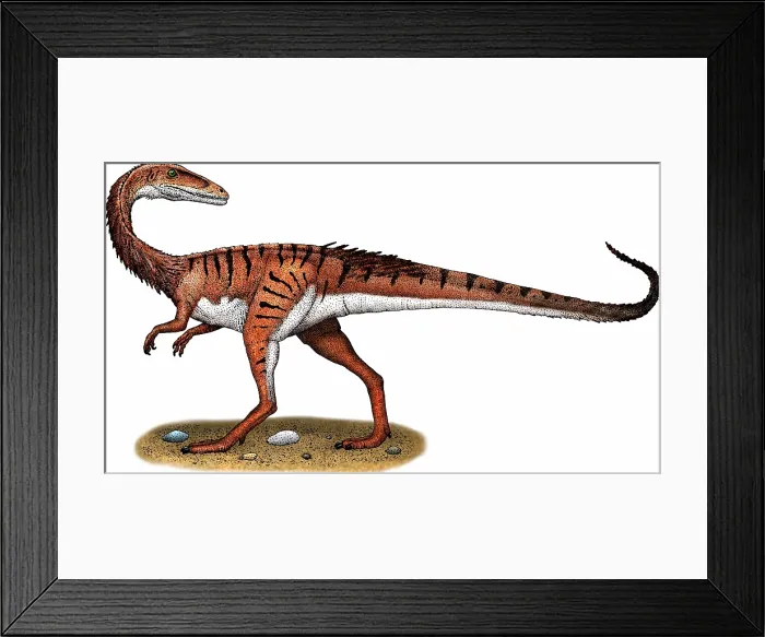 Framed Print : Coelophysis Framed Print : Coelophysis