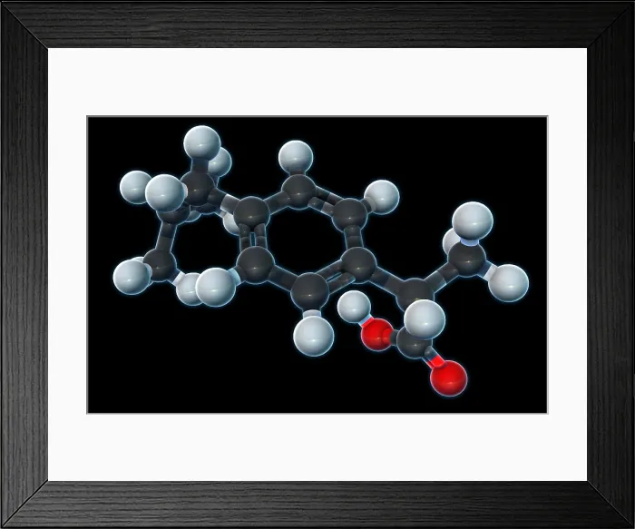 Framed Print : Ibuprofen, Molecular Model Framed Print : Ibuprofen, Molecular Model