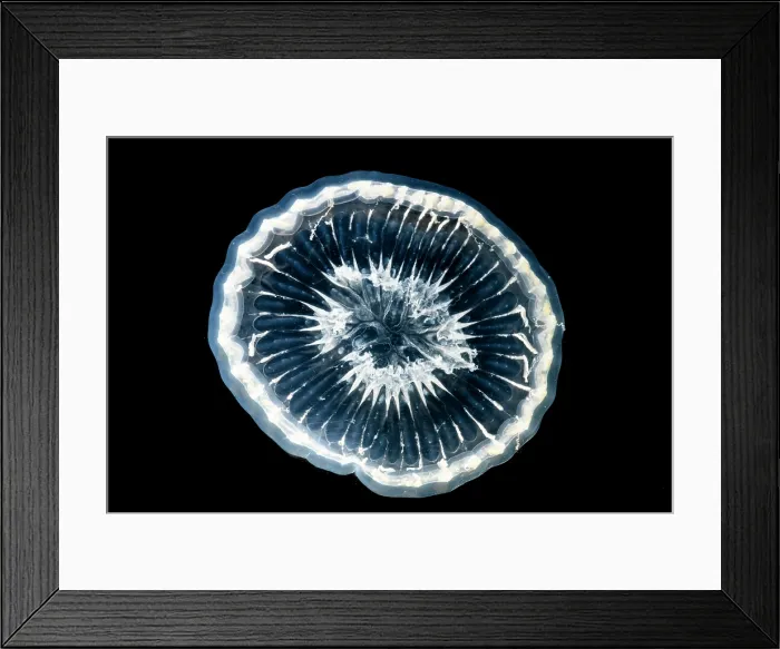 Framed Print : Deep-Water Bioluminescent Jellyfish Framed Print : Deep-Water Bioluminescent Jellyfish