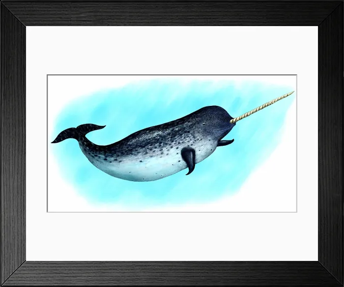 Framed Print : Narwhal whale