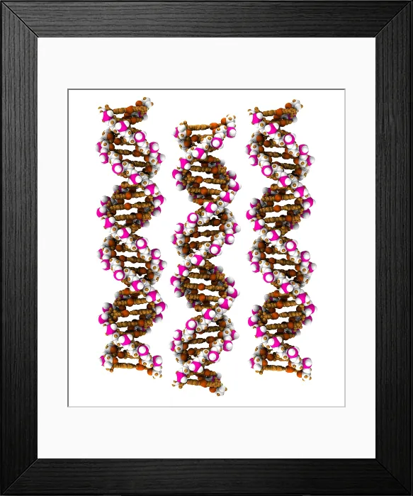 Framed Print : 3D DNA Molecule Framed Print : 3D DNA Molecule