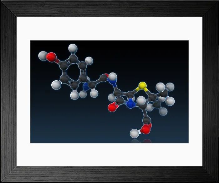 Framed Print : Amoxicillin Molecular Model