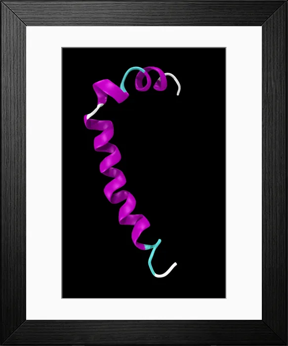 Framed Print : Amyloid beta peptide