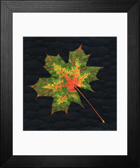 Framed Print : Autumn Leaf Framed Print : Autumn Leaf