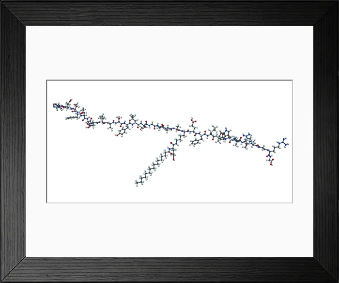 Framed Print : Liraglutide Framed Print : Liraglutide
