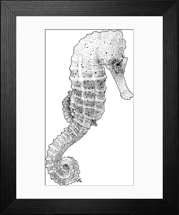 Framed Print : Three Spot Seahorse Framed Print : Three Spot Seahorse