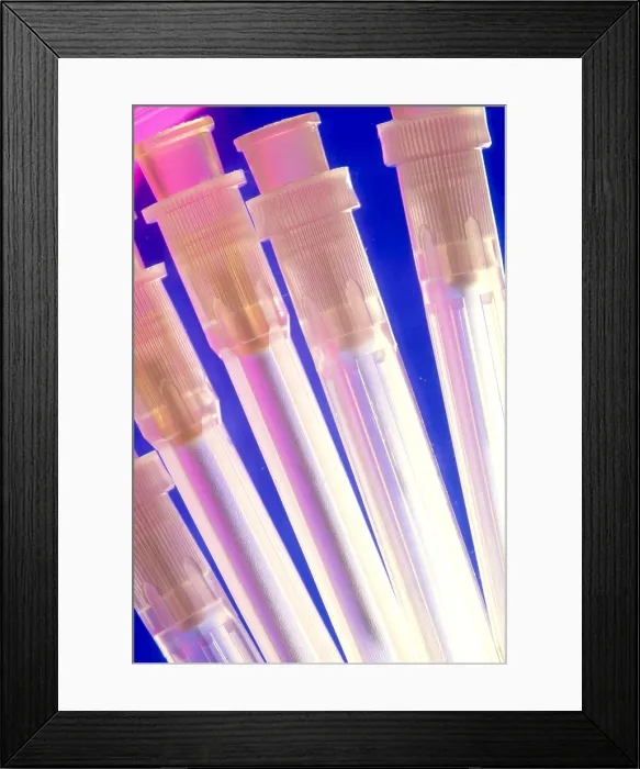 Framed Print : Syringe Needles Framed Print : Syringe Needles