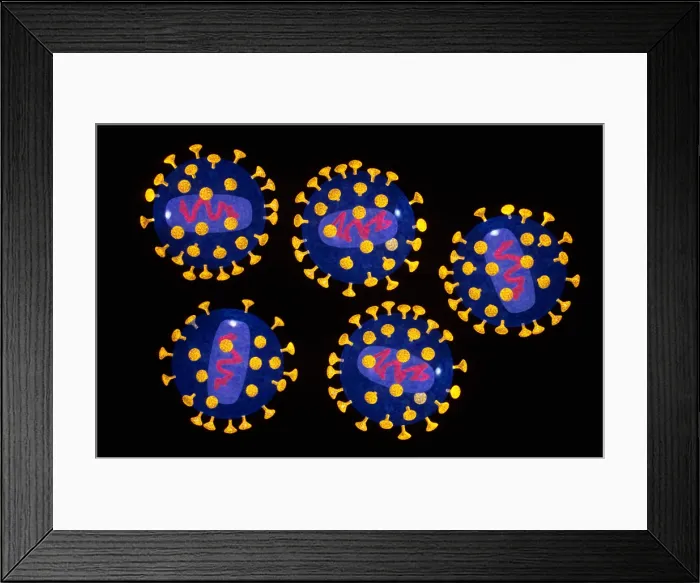 Framed Print : AIDS Virus Framed Print : AIDS Virus