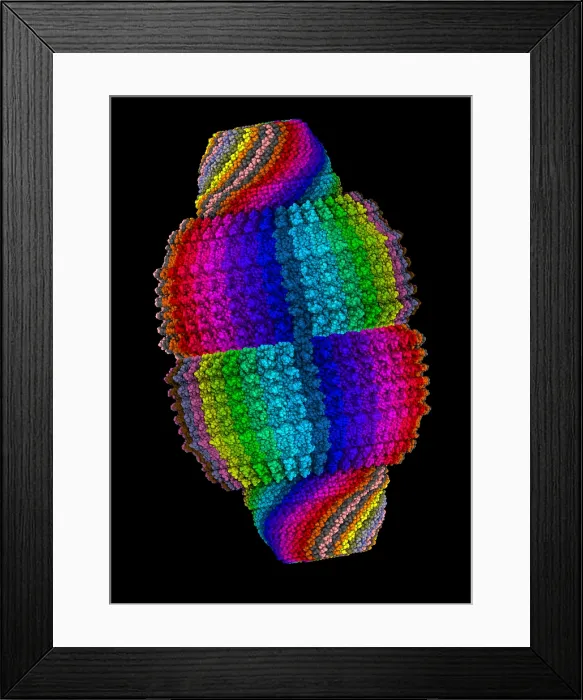Framed Print : Vault Cytoplasmic Ribonucleoprotein Framed Print : Vault Cytoplasmic Ribonucleoprotein