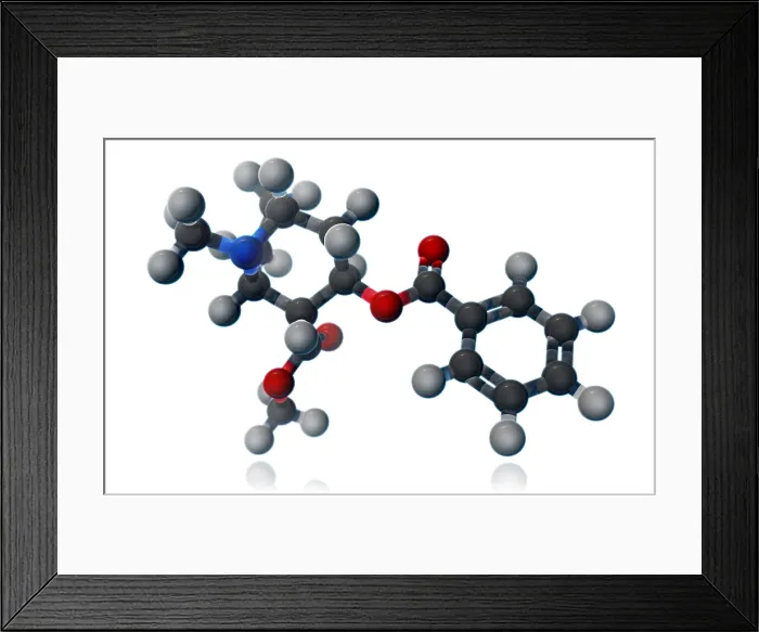 Framed Print : Cocaine Molecular Model Framed Print : Cocaine Molecular Model