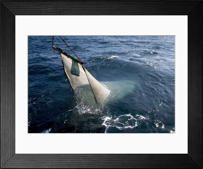 Framed Print : Trawling for marine life