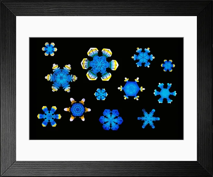 Framed Print : Snowflakes Framed Print : Snowflakes